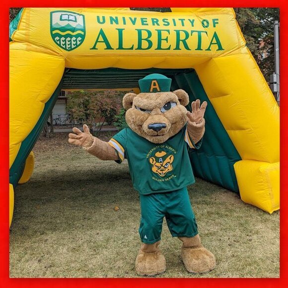 University of Alberta Vintage Golden Bears never worn Varsity Line Hockey Jersey - Picture 9 of 16